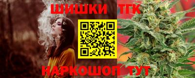 МДПВ Гусев