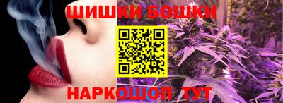 МДПВ Гусев