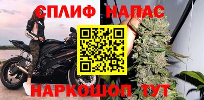 МДПВ Гусев