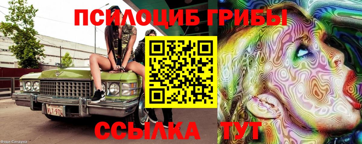 Псилоцибиновые грибы Magic Shrooms  хочу наркоту  Орехово-Зуево  Псилоцибиновые грибы Magic Shrooms  Вход с VPN 